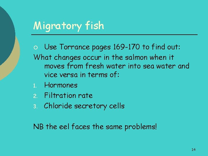 Migratory fish Use Torrance pages 169 -170 to find out: What changes occur in