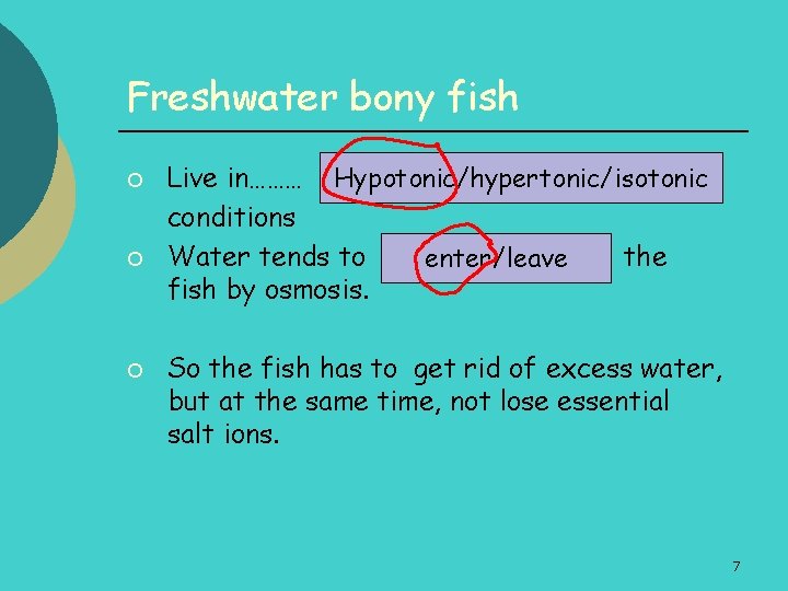 Freshwater bony fish ¡ ¡ ¡ Live in……… Hypotonic/hypertonic/isotonic conditions Water tends to the