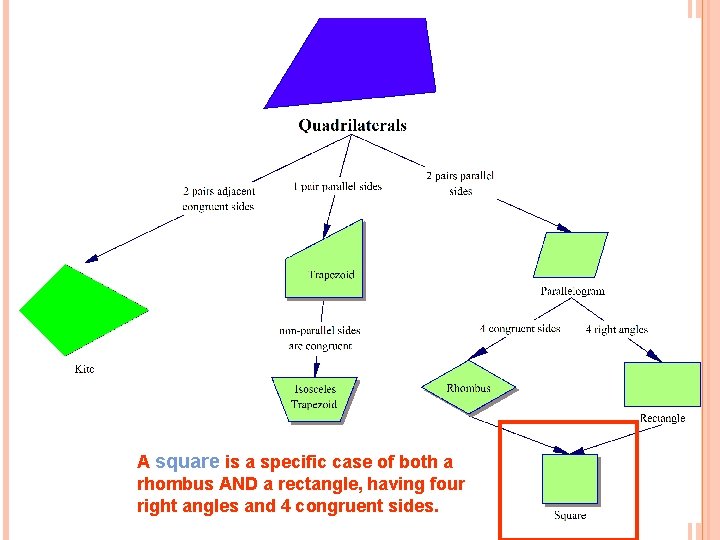 A square is a specific case of both a rhombus AND a rectangle, having