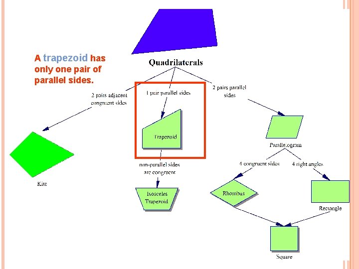 A trapezoid has only one pair of parallel sides. 