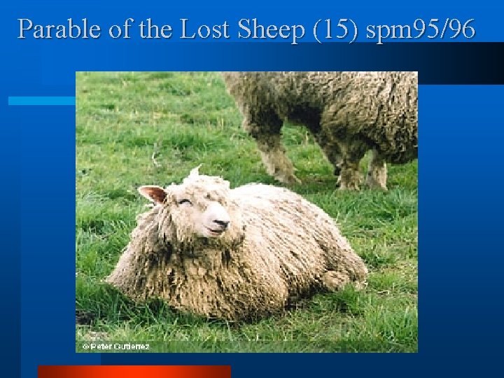 Parable of the Lost Sheep (15) spm 95/96 