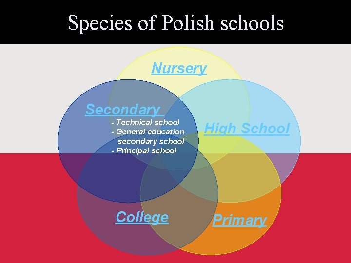 Species of Polish schools Nursery Secondary - Technical school - General education secondary school