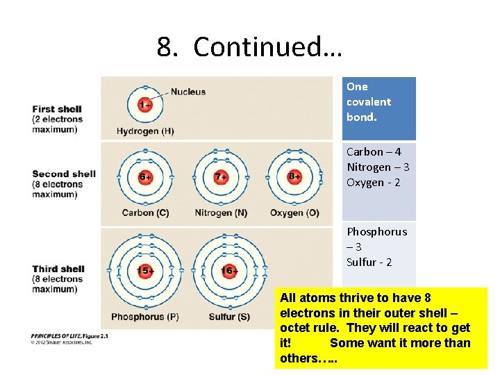 8. Continued… One covalent bond. Carbon – 4 Nitrogen – 3 Oxygen - 2