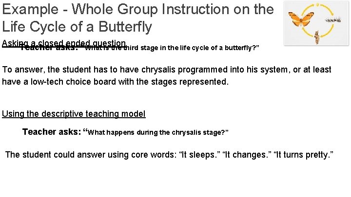 Example - Whole Group Instruction on the Life Cycle of a Butterfly Asking a