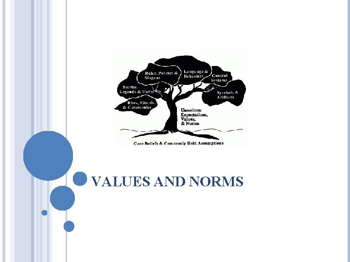 VALUES AND NORMS VALUES AND NORMS