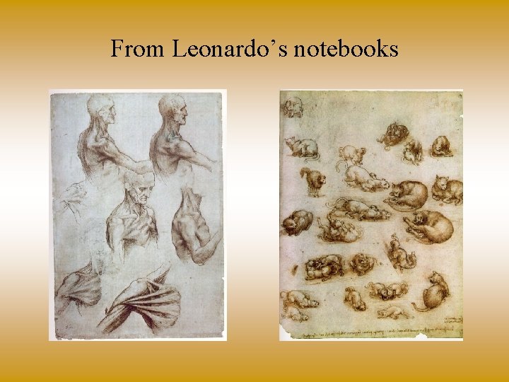 From Leonardo’s notebooks 