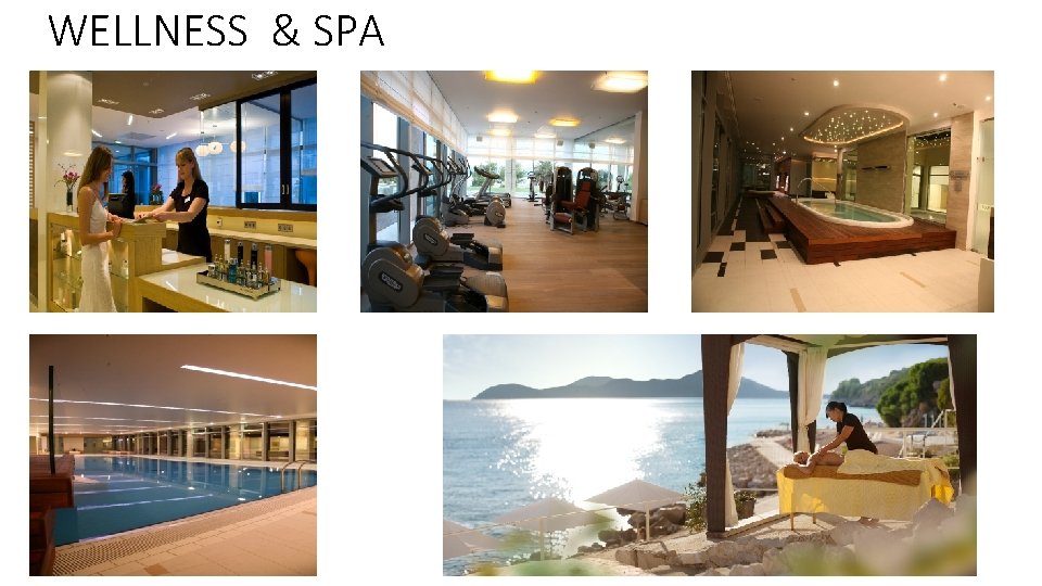 WELLNESS & SPA 