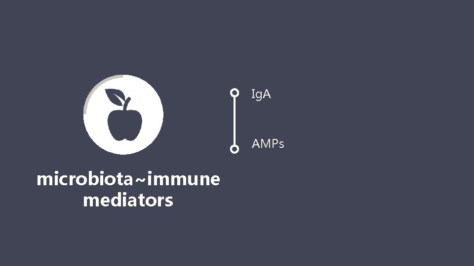 Ig. A AMPs microbiota~immune mediators 