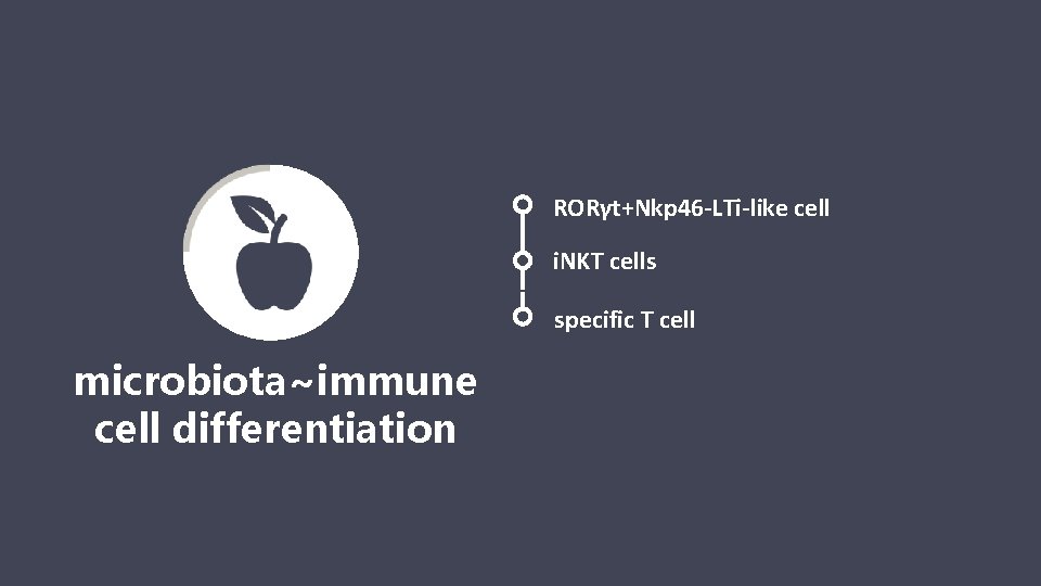 RORγt+Nkp 46 -LTi-like cell i. NKT cells → microbiota~immune cell differentiation specific T cell