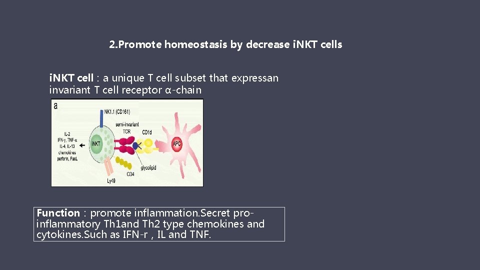 2. Promote homeostasis by decrease i. NKT cells i. NKT cell：a unique T cell