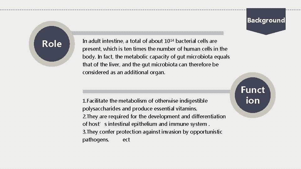 Background Role In adult intestine, a total of about 1014 bacterial cells are present,