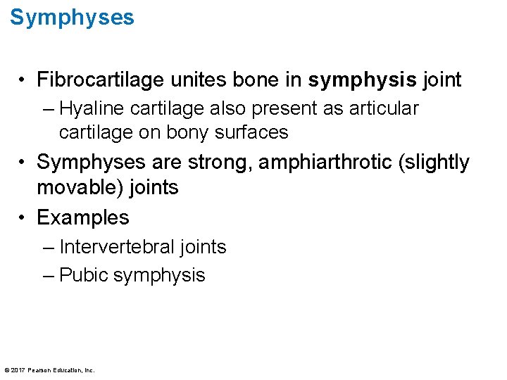 Symphyses • Fibrocartilage unites bone in symphysis joint – Hyaline cartilage also present as