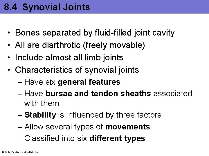 8. 4 Synovial Joints • • Bones separated by fluid-filled joint cavity All are