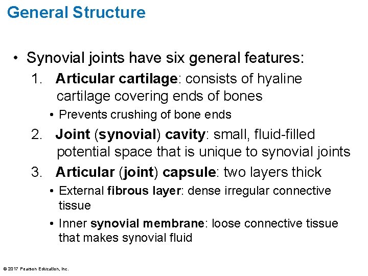 General Structure • Synovial joints have six general features: 1. Articular cartilage: consists of