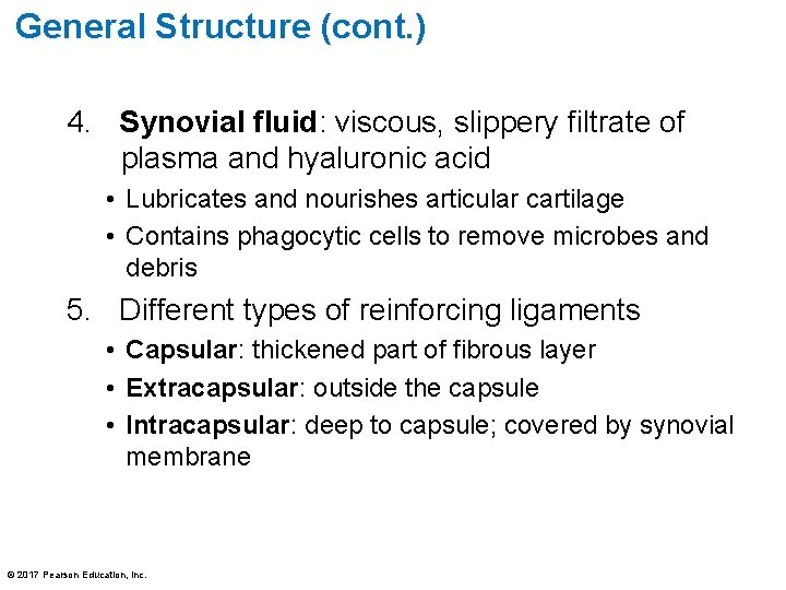 General Structure (cont. ) 4. Synovial fluid: viscous, slippery filtrate of plasma and hyaluronic