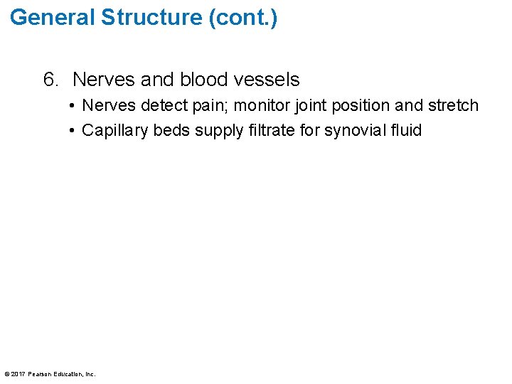 General Structure (cont. ) 6. Nerves and blood vessels • Nerves detect pain; monitor