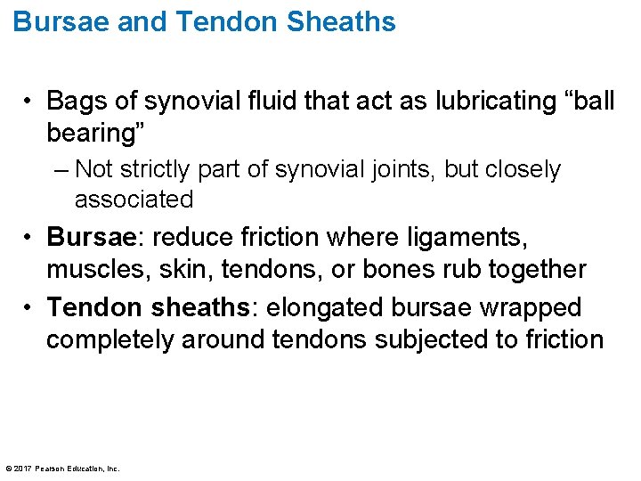 Bursae and Tendon Sheaths • Bags of synovial fluid that act as lubricating “ball