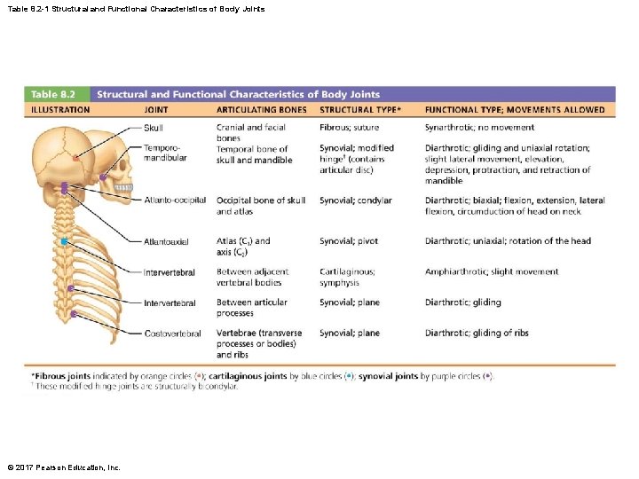 Table 8. 2 -1 Structural and Functional Characteristics of Body Joints © 2017 Pearson