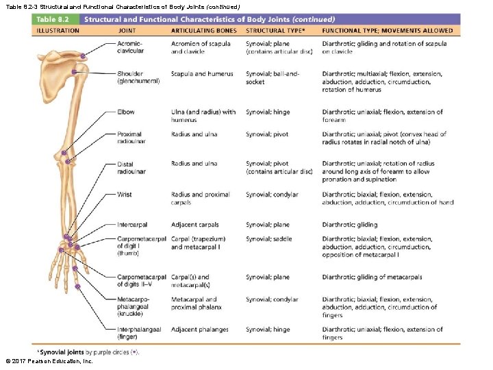 Table 8. 2 -3 Structural and Functional Characteristics of Body Joints (continued) © 2017
