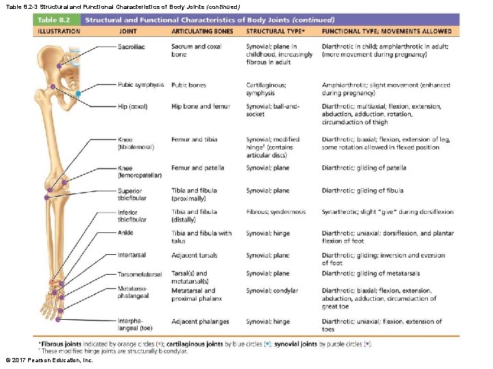 Table 8. 2 -3 Structural and Functional Characteristics of Body Joints (continued) © 2017