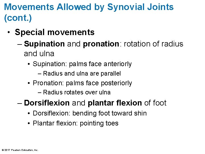Movements Allowed by Synovial Joints (cont. ) • Special movements – Supination and pronation: