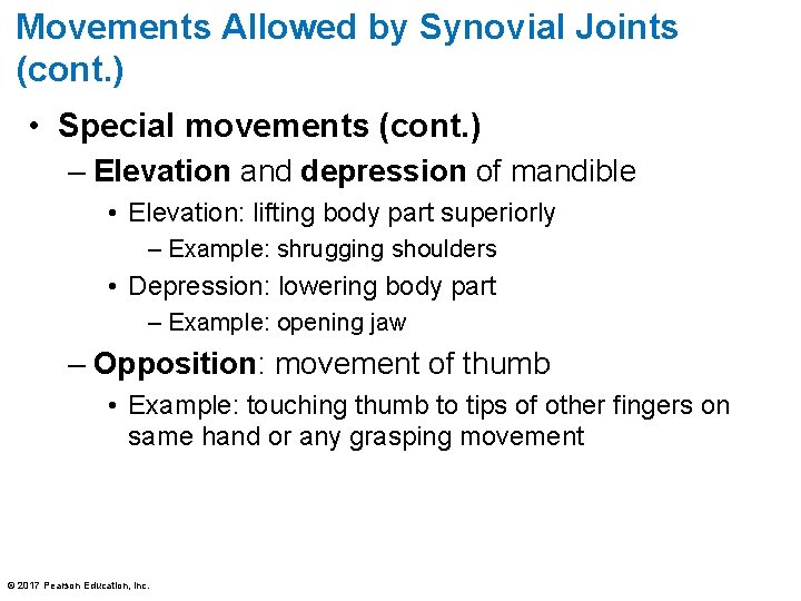 Movements Allowed by Synovial Joints (cont. ) • Special movements (cont. ) – Elevation