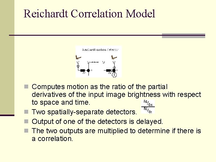 Reichardt Correlation Model n Computes motion as the ratio of the partial derivatives of