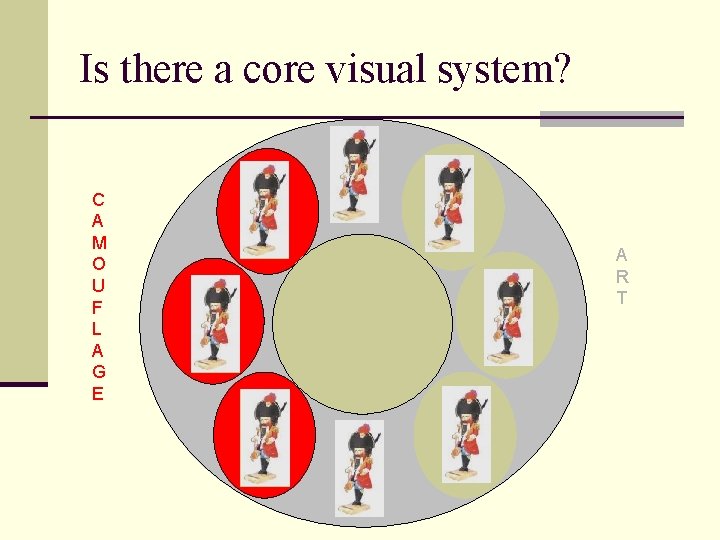 Is there a core visual system? C A M O U F L A
