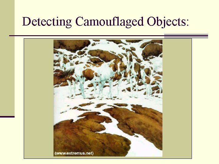 Detecting Camouflaged Objects: 