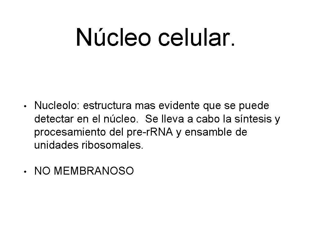 Núcleo celular. • Nucleolo: estructura mas evidente que se puede detectar en el núcleo.