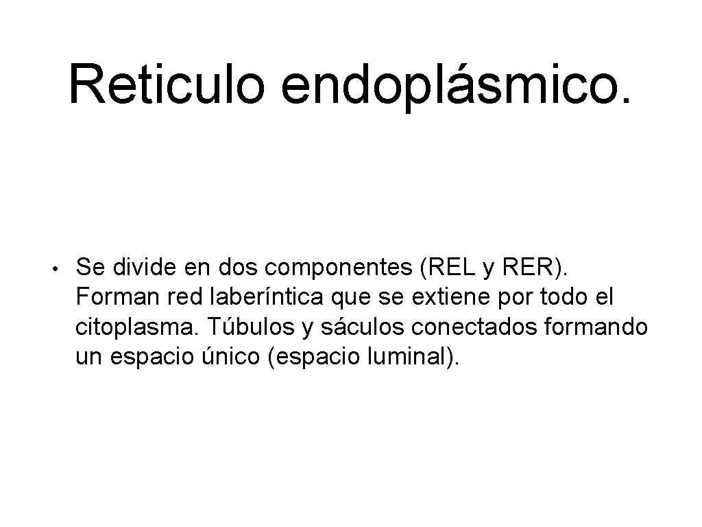 Reticulo endoplásmico. • Se divide en dos componentes (REL y RER). Forman red laberíntica