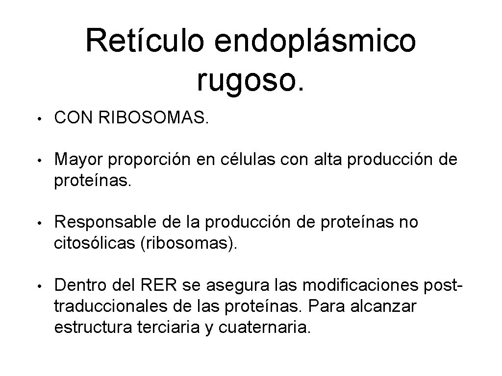 Retículo endoplásmico rugoso. • CON RIBOSOMAS. • Mayor proporción en células con alta producción