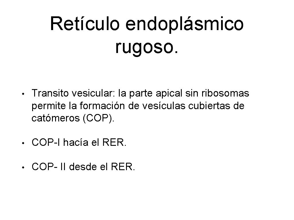 Retículo endoplásmico rugoso. • Transito vesicular: la parte apical sin ribosomas permite la formación