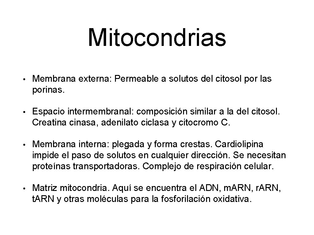 Mitocondrias • Membrana externa: Permeable a solutos del citosol por las porinas. • Espacio