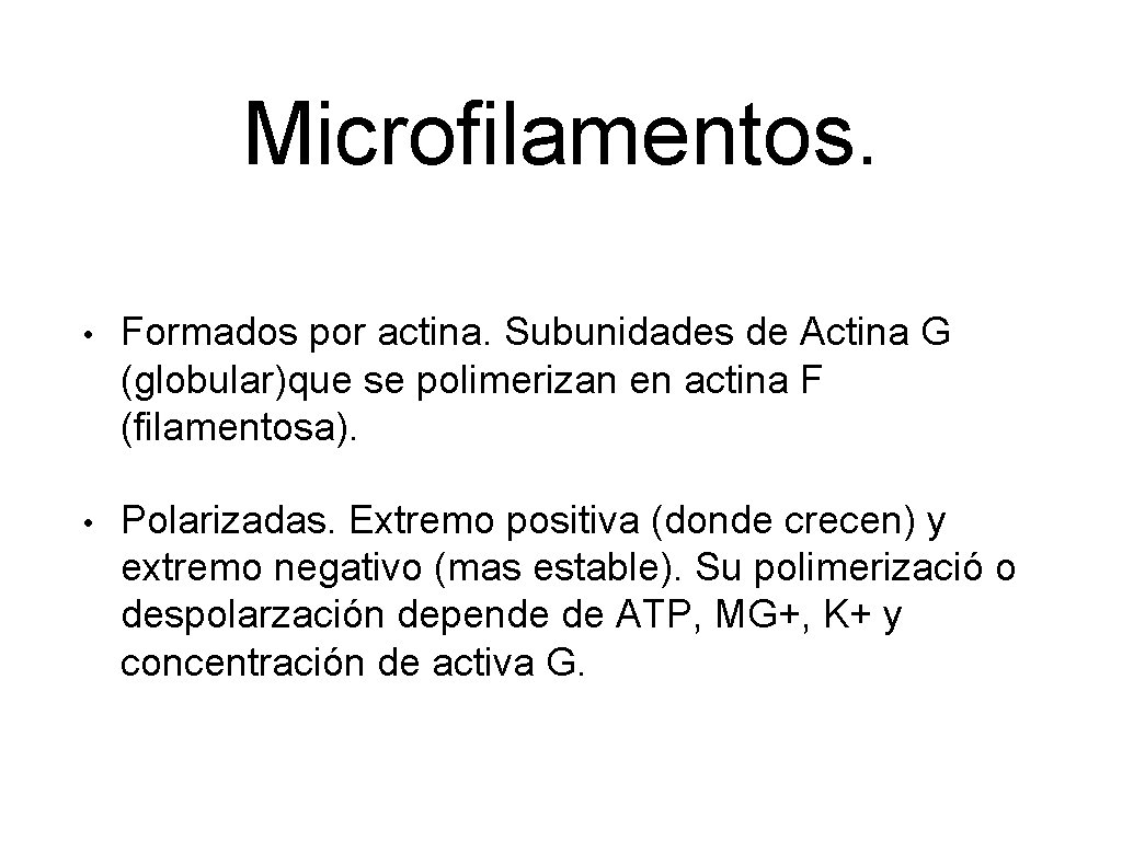 Microfilamentos. • Formados por actina. Subunidades de Actina G (globular)que se polimerizan en actina