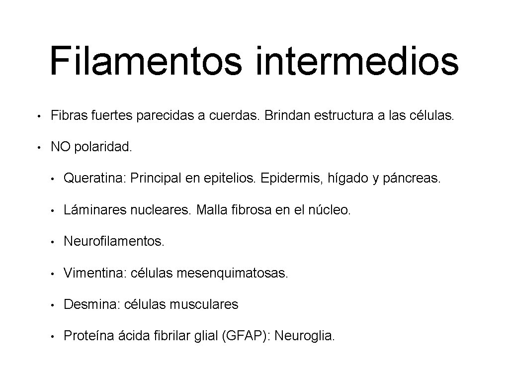 Filamentos intermedios • Fibras fuertes parecidas a cuerdas. Brindan estructura a las células. •