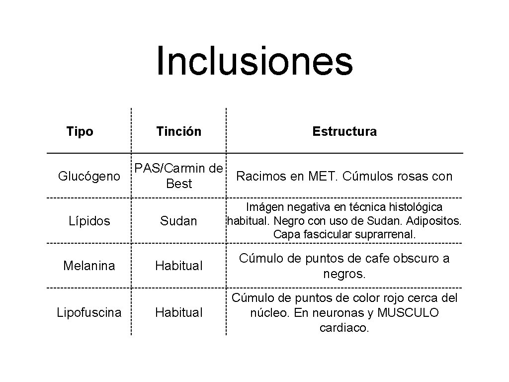 Inclusiones Tipo Glucógeno Lípidos Melanina Lipofuscina Tinción Estructura PAS/Carmin de Racimos en MET. Cúmulos