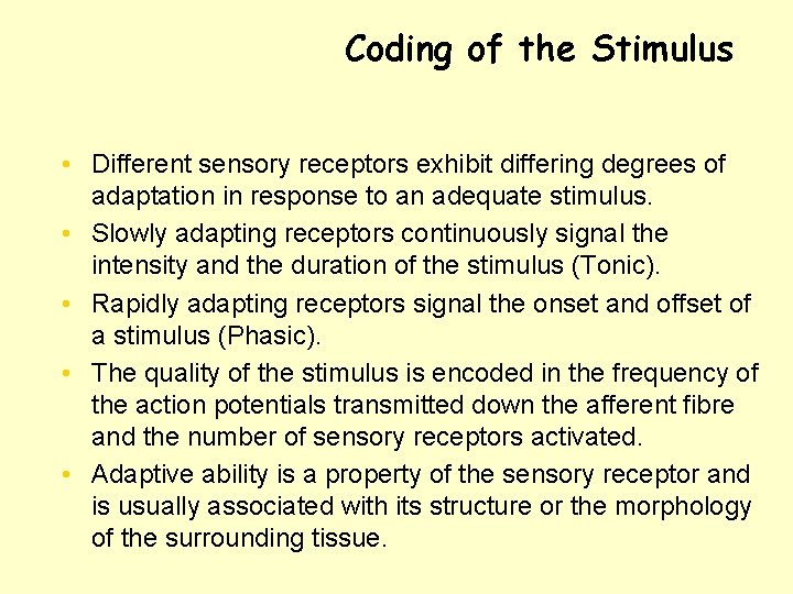 Coding of the Stimulus • Different sensory receptors exhibit differing degrees of adaptation in