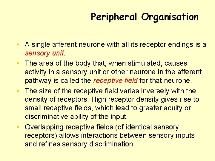 Peripheral Organisation • A single afferent neurone with all its receptor endings is a