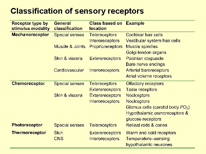 Classification of sensory receptors 