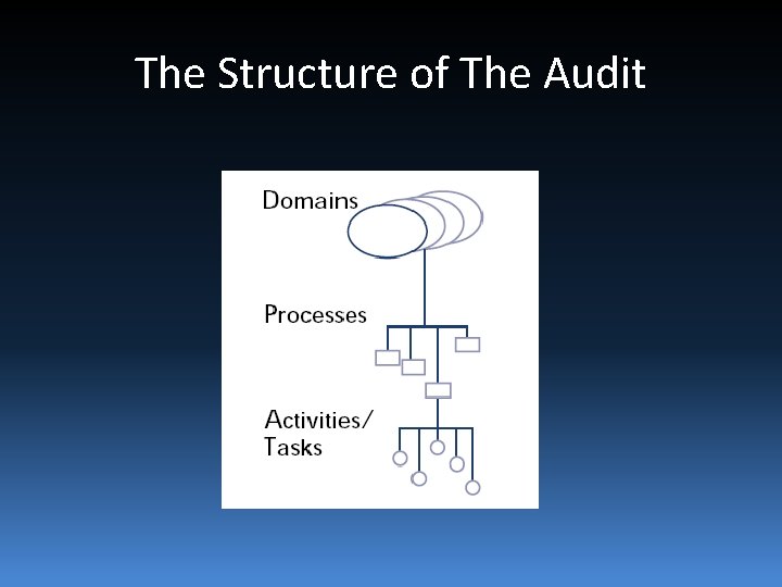 The Structure of The Audit 