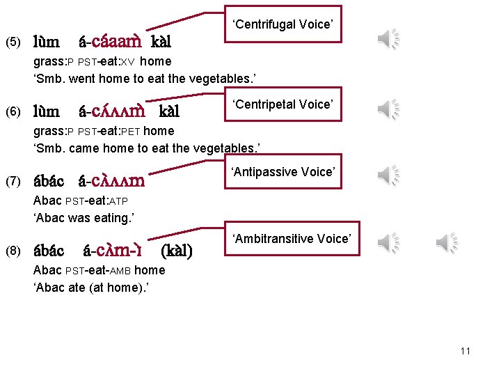 (5) lu m a -ca aam ka l ‘Centrifugal Voice’ grass: P PST-eat: XV