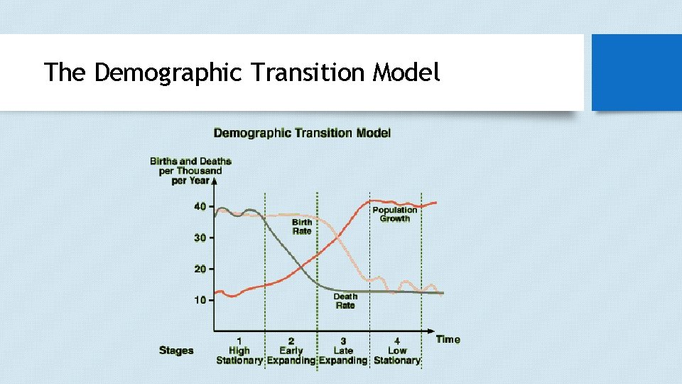 The Demographic Transition Model The Demographic Transition Model