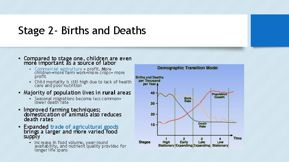 Stage 2 - Births and Deaths • Compared to stage one, children are even