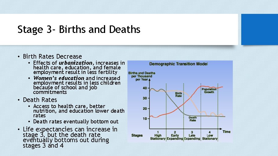 Stage 3 - Births and Deaths • Birth Rates Decrease • Effects of urbanization,