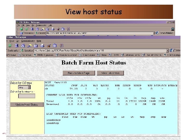 View host status 