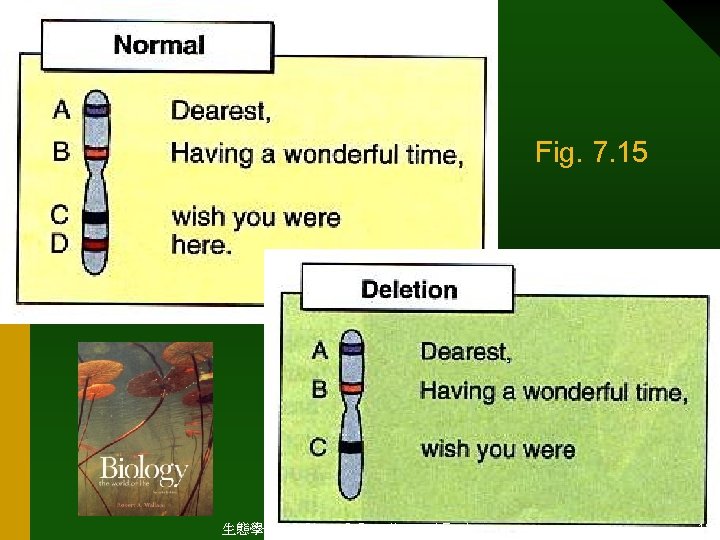 Fig. 7. 15 生態學 2003 Chap. 2 Genetics and Ecology 13 