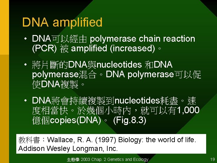 DNA amplified • DNA可以經由 polymerase chain reaction (PCR) 被 amplified (increased)。 • 將片斷的DNA與nucleotides 和DNA