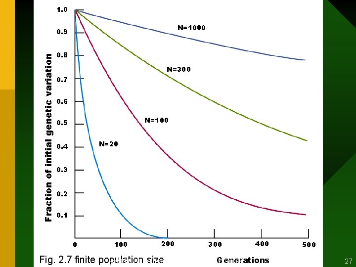 1. 0 N=1000 Fraction of initial genetic variation 0. 9 0. 8 N=300 0.