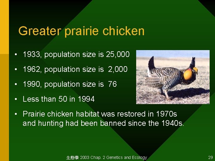 Greater prairie chicken • 1933, population size is 25, 000 • 1962, population size